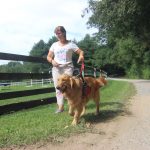 amazing-trainer